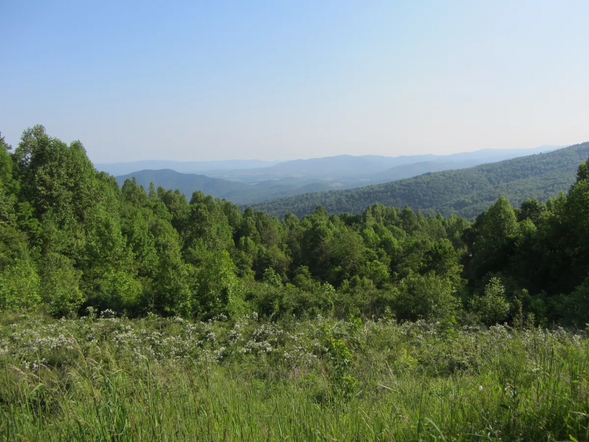Eastroadtrip2012 Shenandoahnp 004