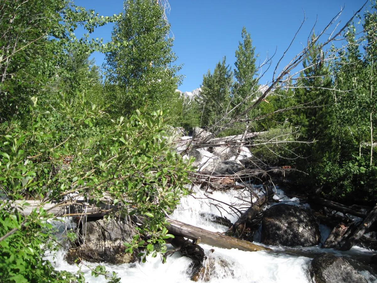 Grand Teton National Park