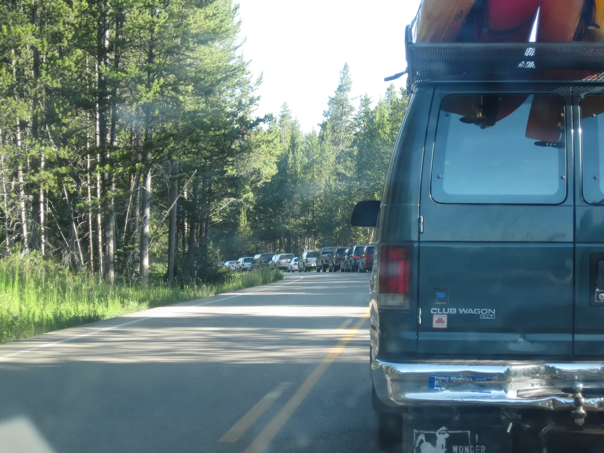 WEST2009_D05_YellowStoneNP-South_003.jpg