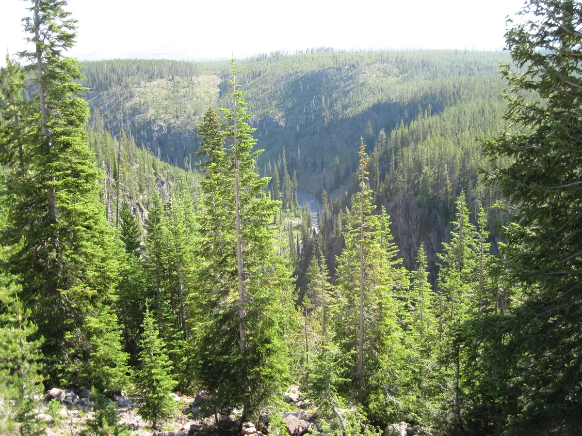 WEST2009_D05_YellowStoneNP-South_011.jpg