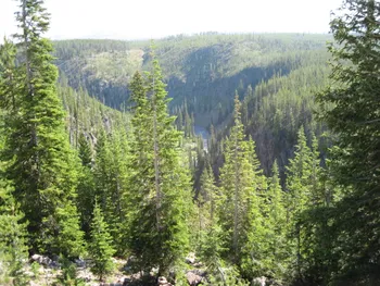 Entering Yellowstone National Park from the South Entrance.