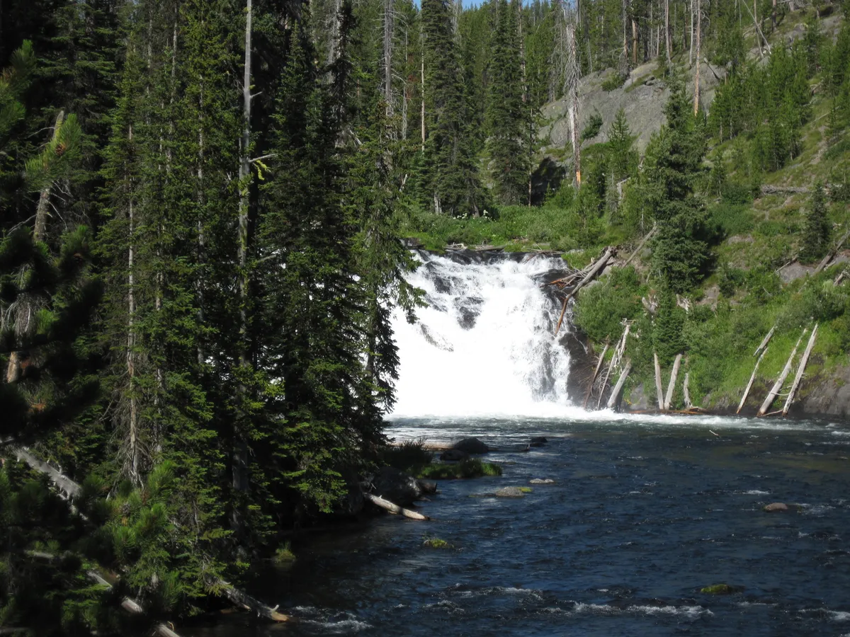 WEST2009_D05_YellowStoneNP-South_018.jpg