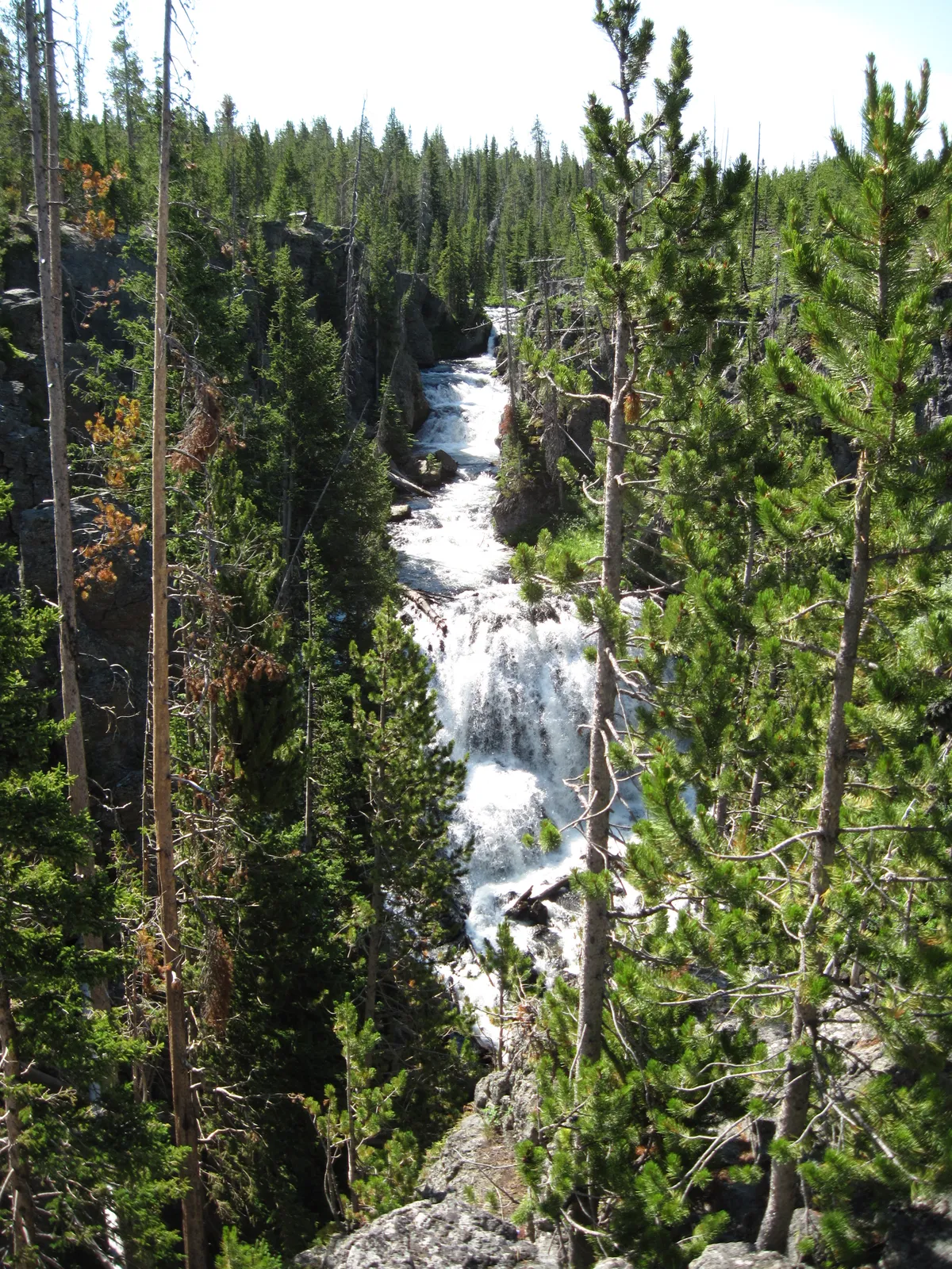 WEST2009_D05_YellowStoneNP-South_023.jpg