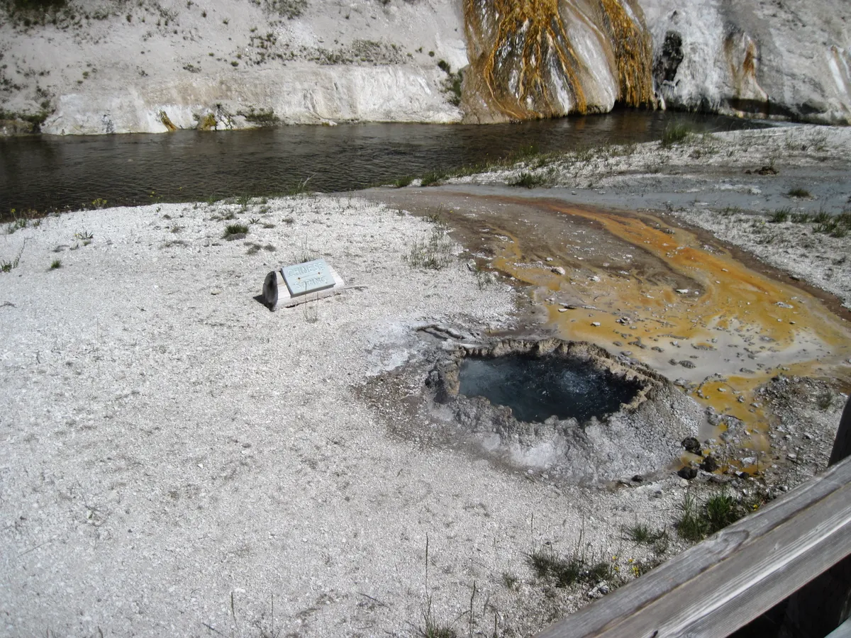 WEST2009_D05_YellowStoneNP-South_032.jpg