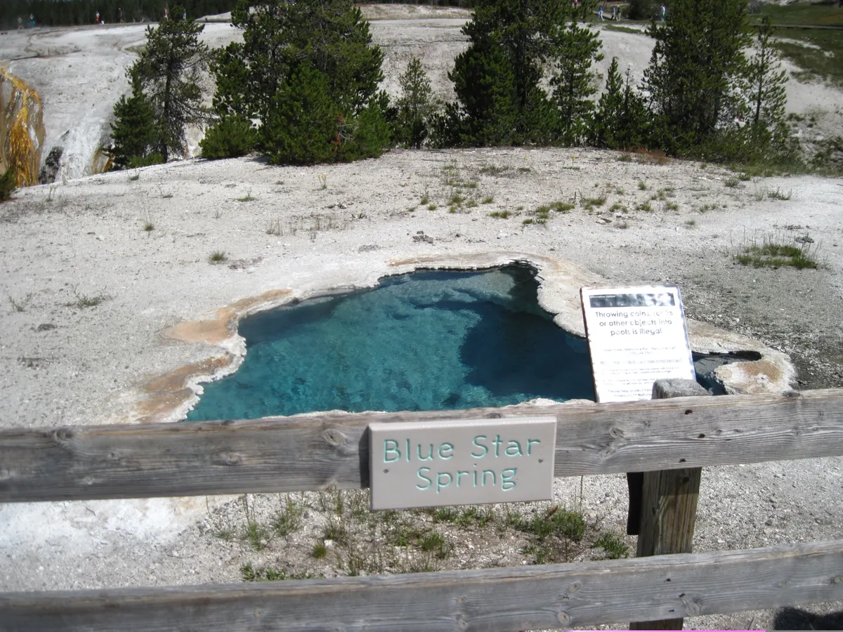WEST2009_D05_YellowStoneNP-South_034.jpg