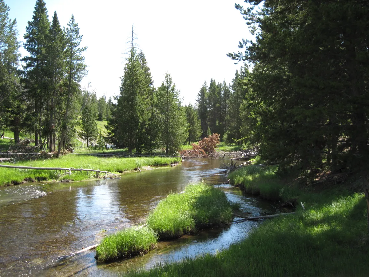 WEST2009_D05_YellowStoneNP-South_036.jpg