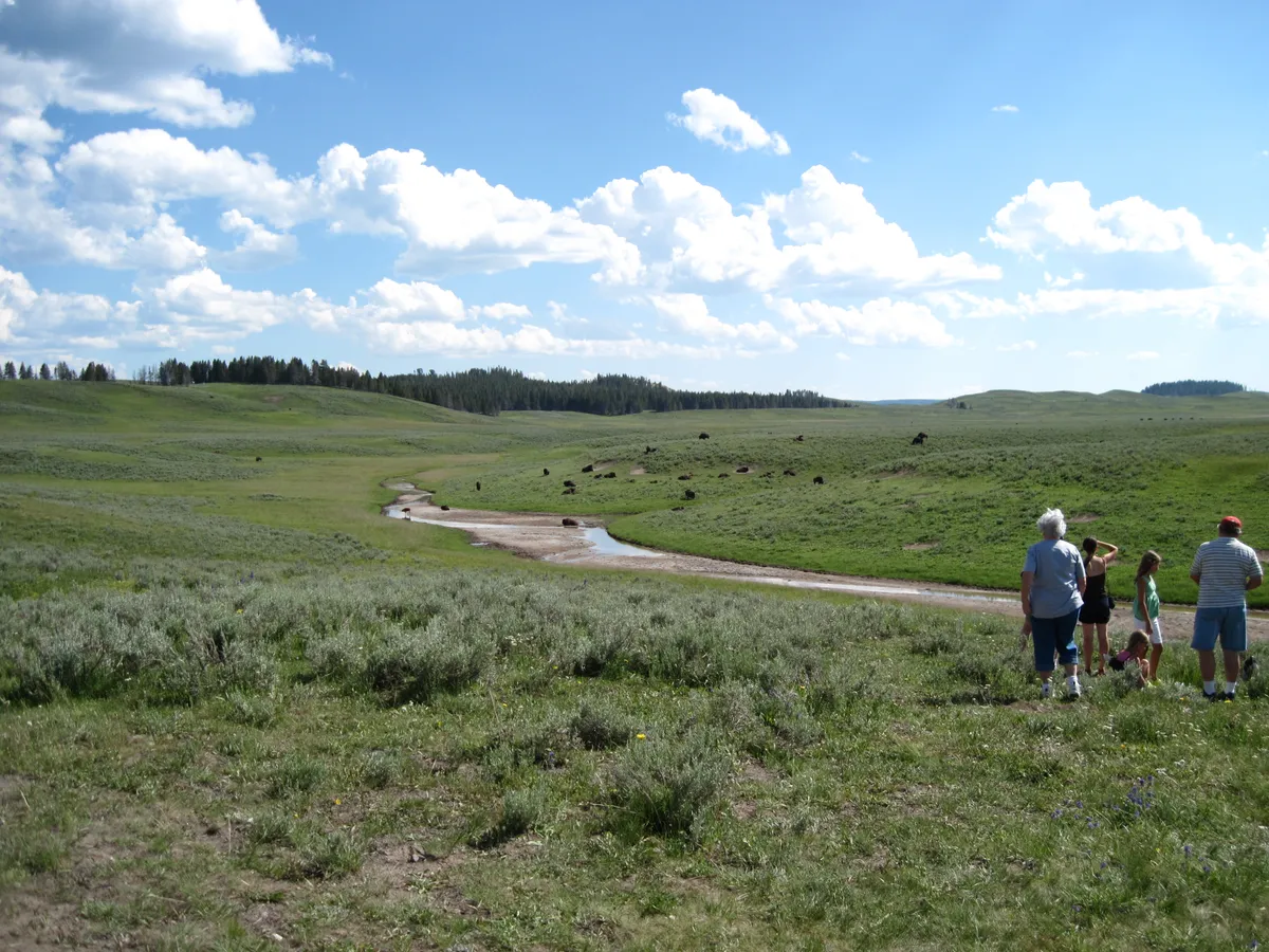 WEST2009_D05_YellowStoneNP-South_089.jpg
