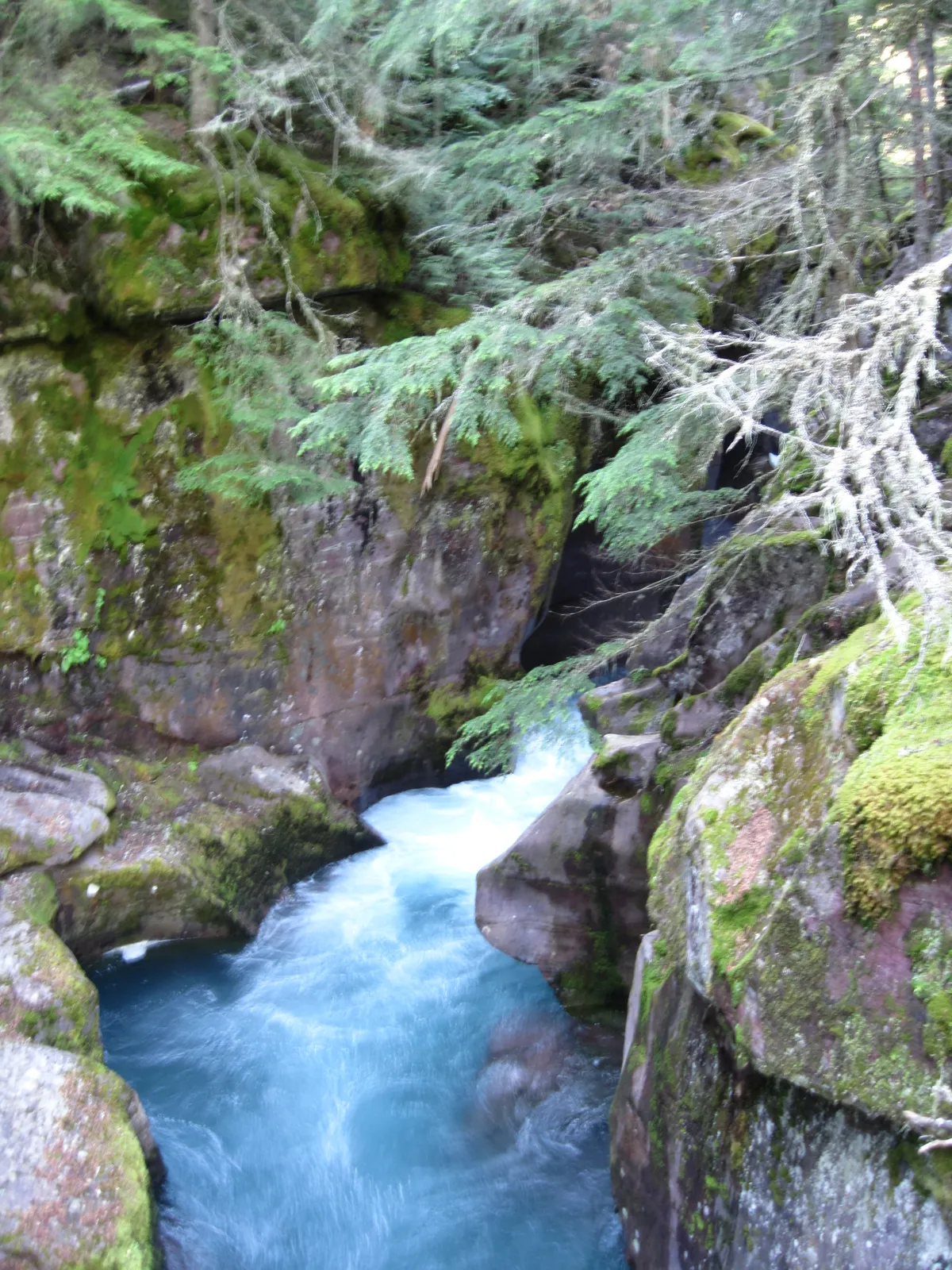 Glacier National Park