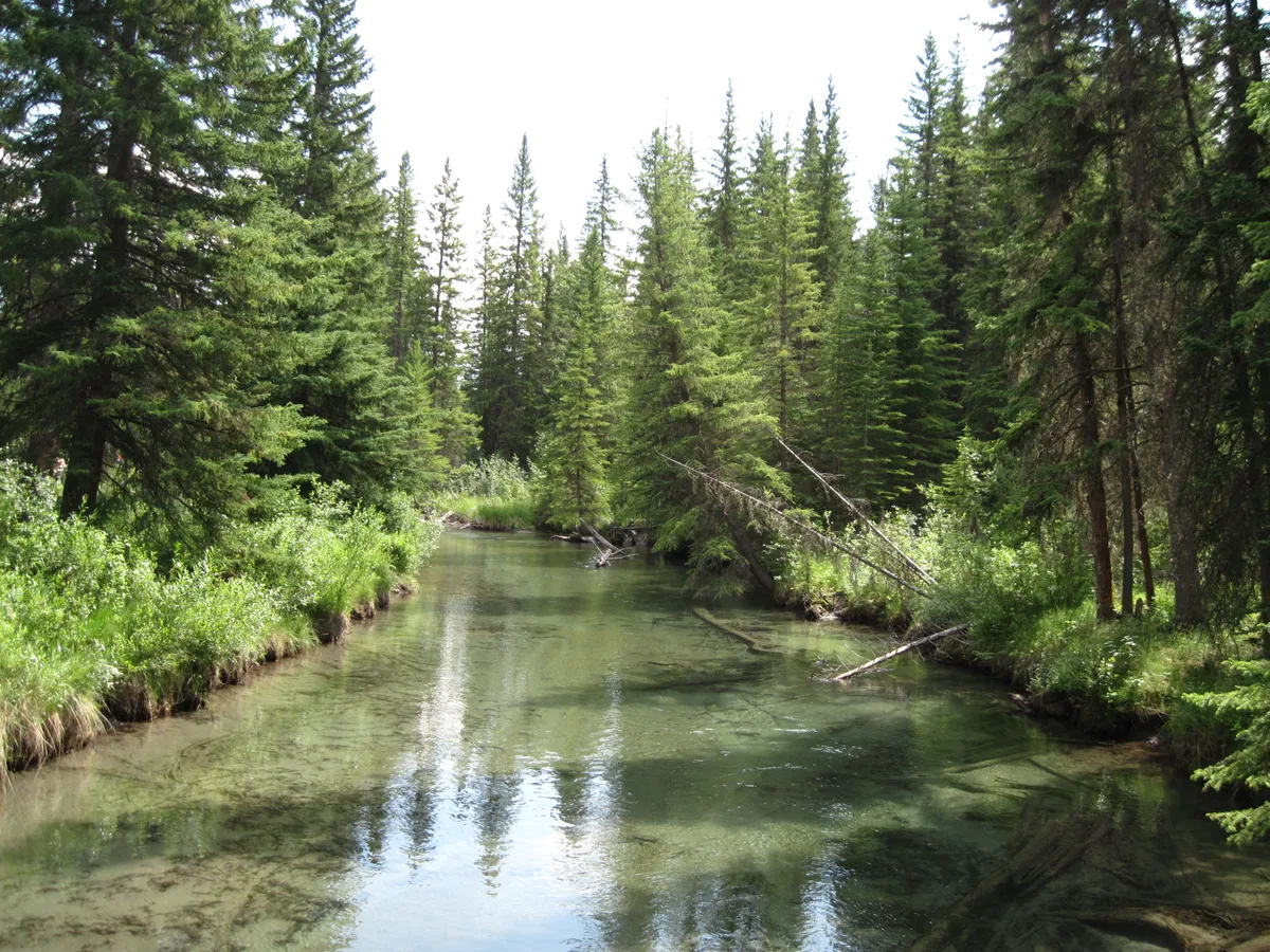 WEST2009_D10_BanffNP_024.jpg